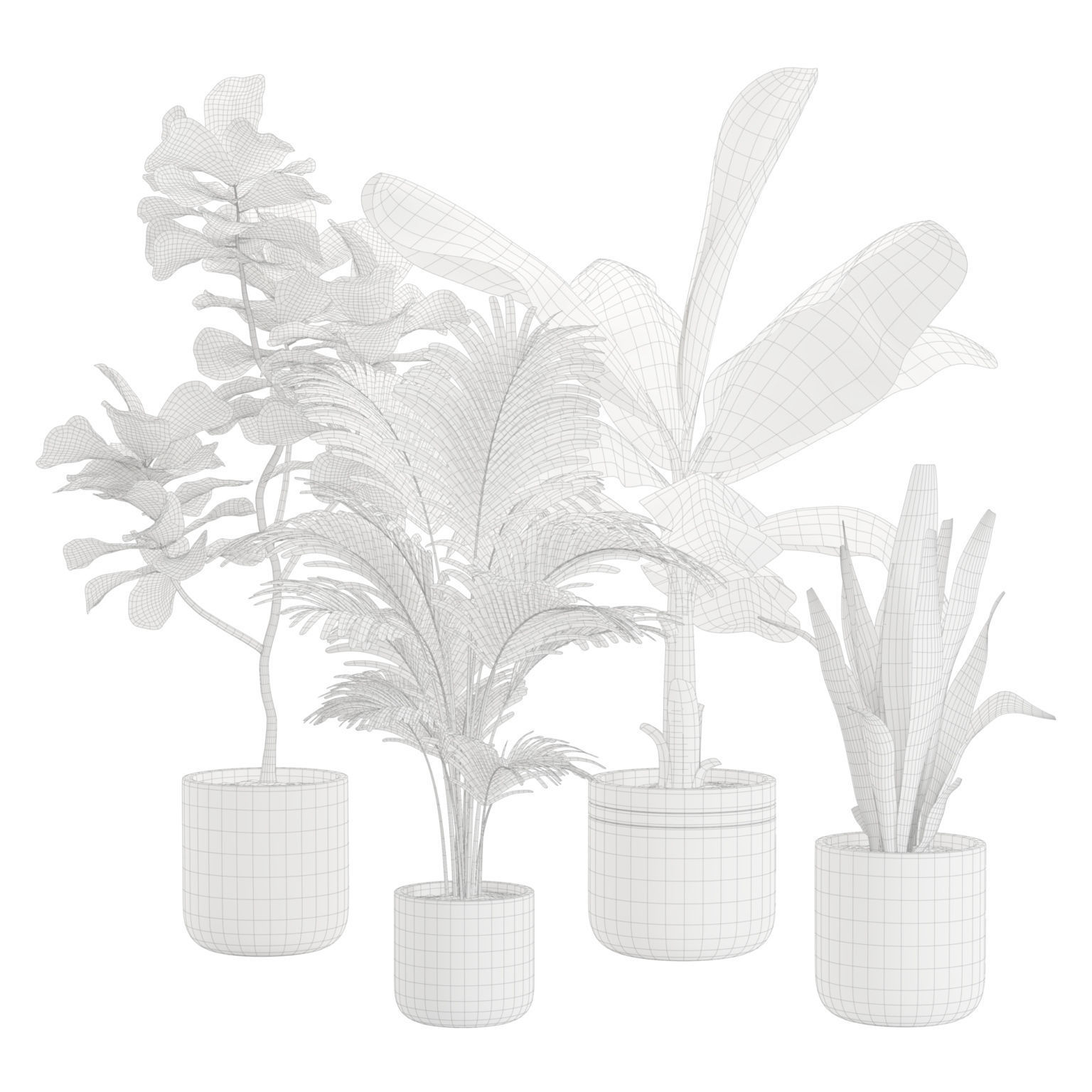 Indoor Plants Pack 24 3D model_1