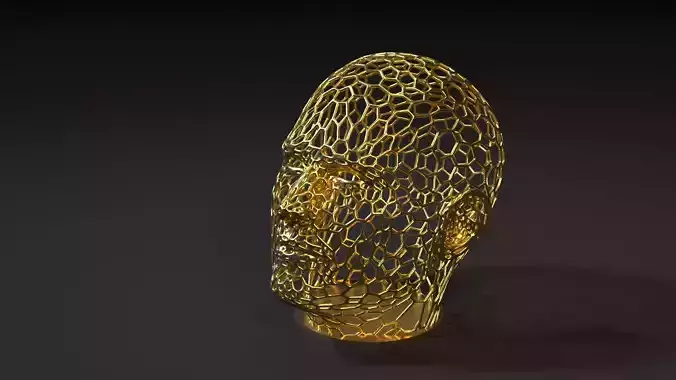 Head voronoi 2