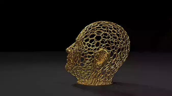 Head voronoi 2