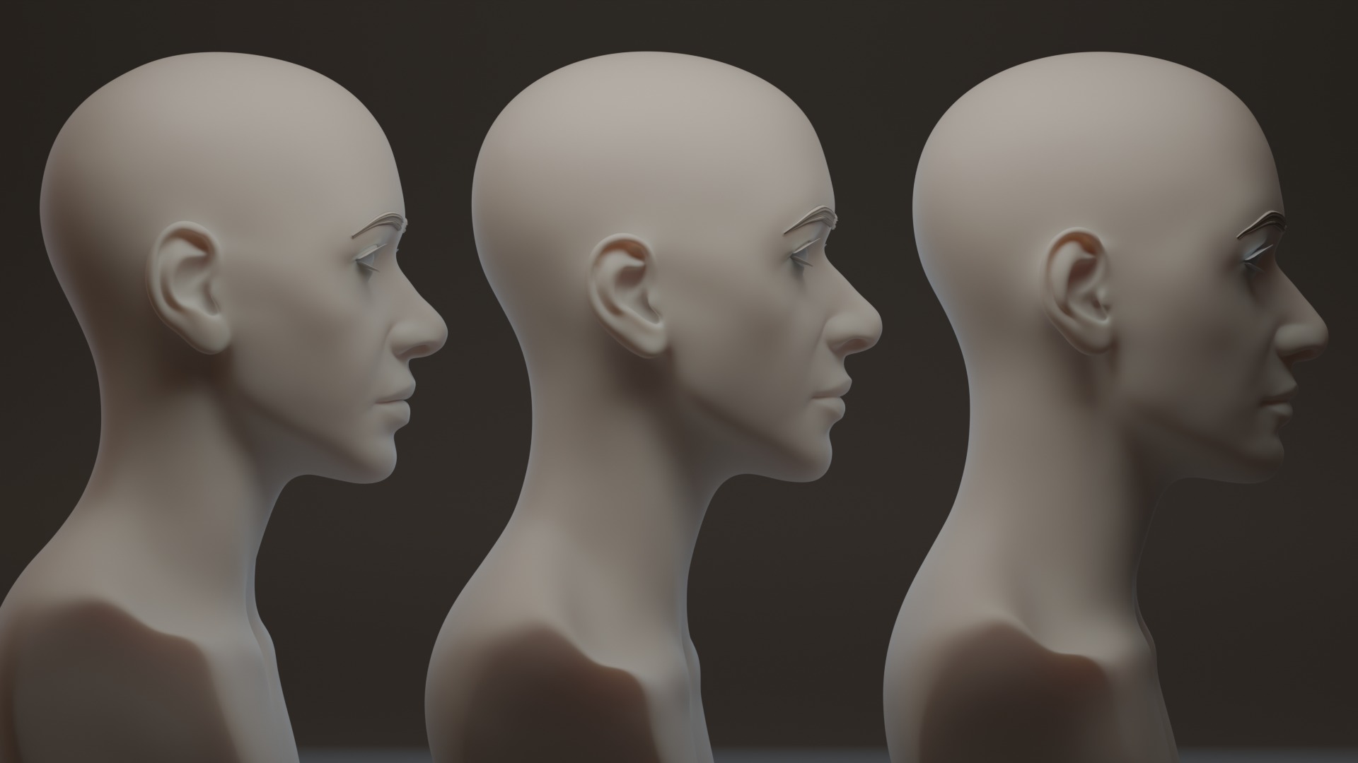 Asian Head Female 3D model_3