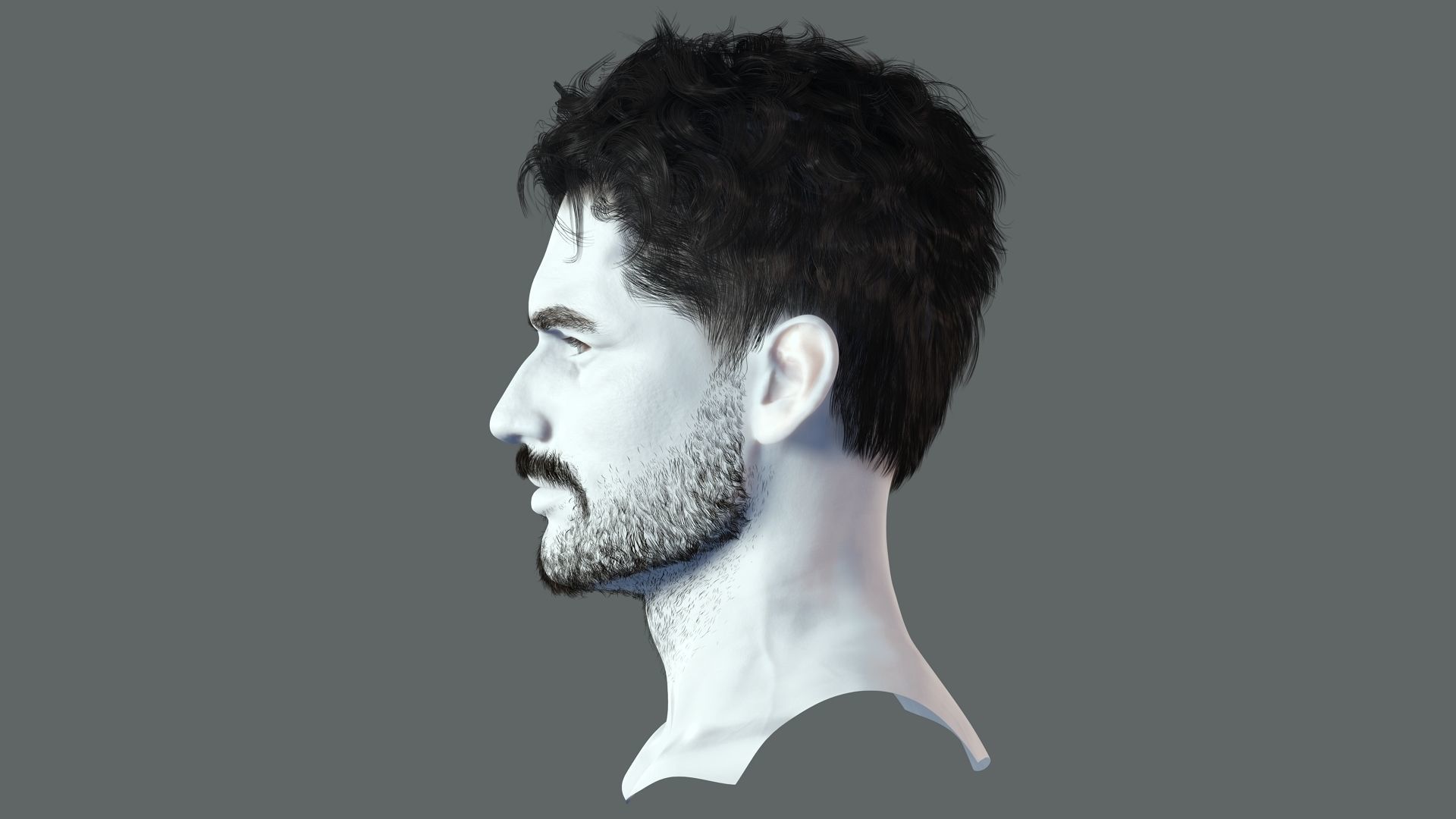 Realistic Hair Beard brows mustache Low-poly 3D model_5