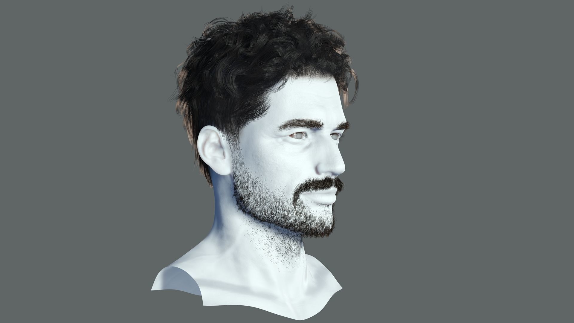 Realistic Hair Beard brows mustache Low-poly 3D model_6