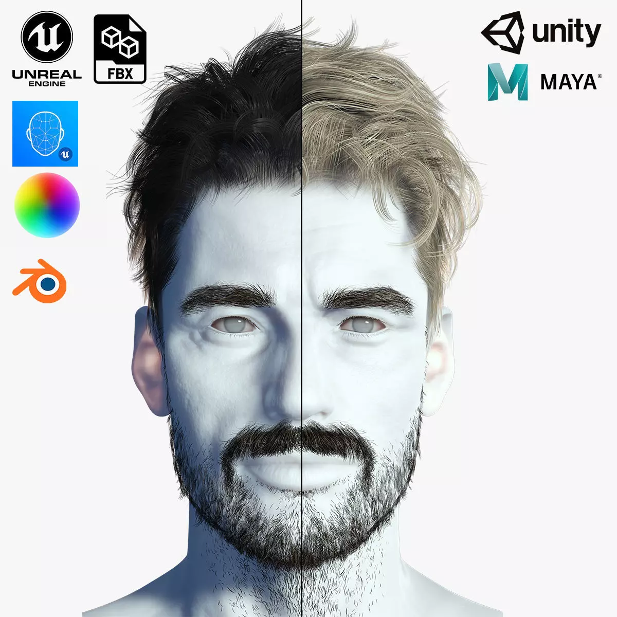 Realistic Hair Beard brows mustache Low-poly 3D model_0