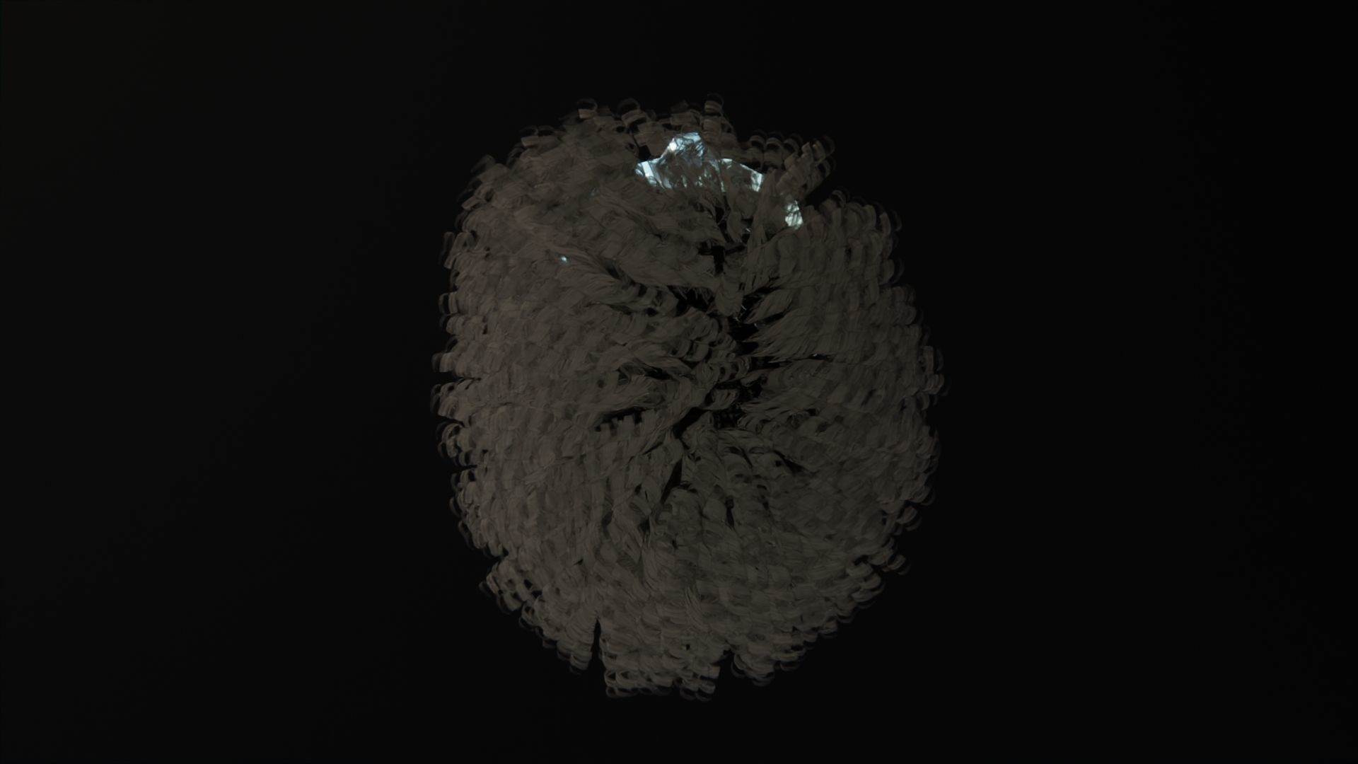 Short Curly Hair Low-poly 3D model_4