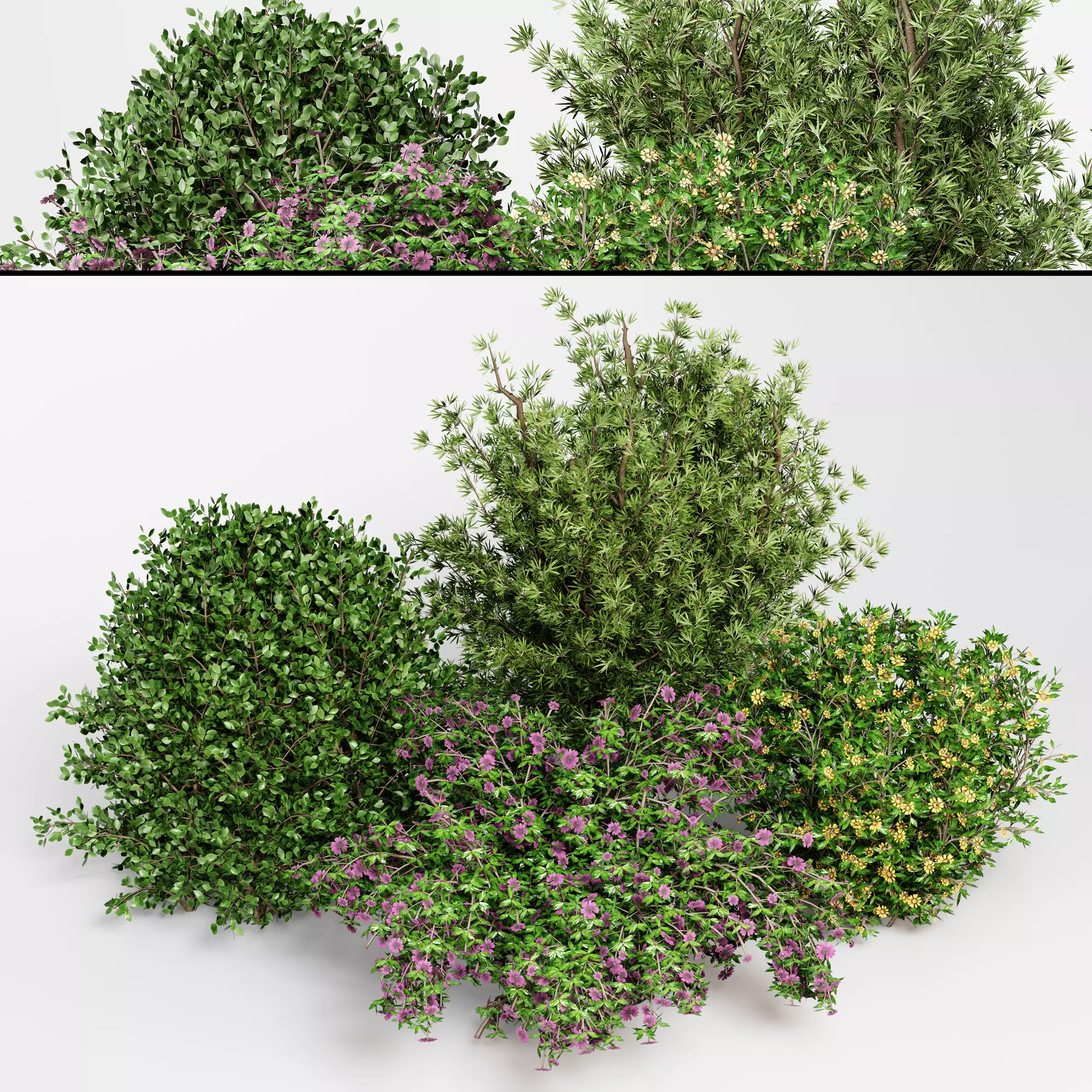 Outdoor Plants set 03 3D model