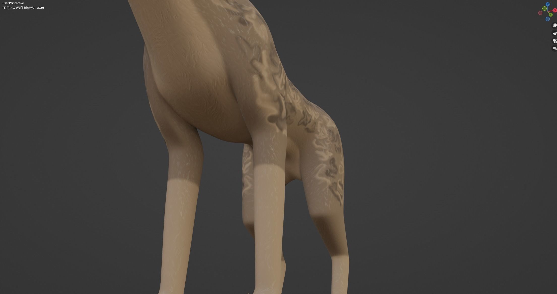 Trinity Wolf 3D model_43