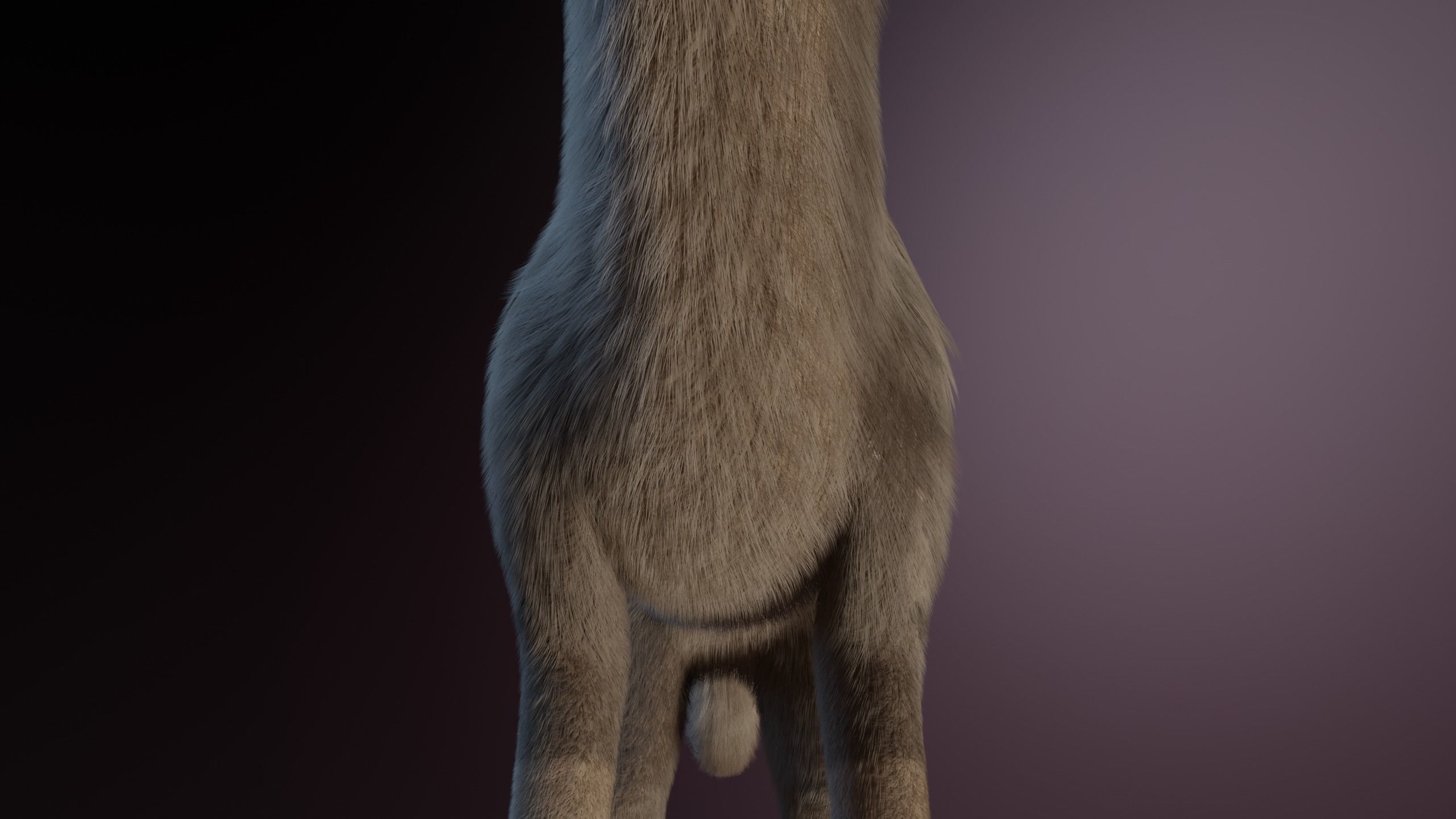 Trinity Wolf 3D model_11