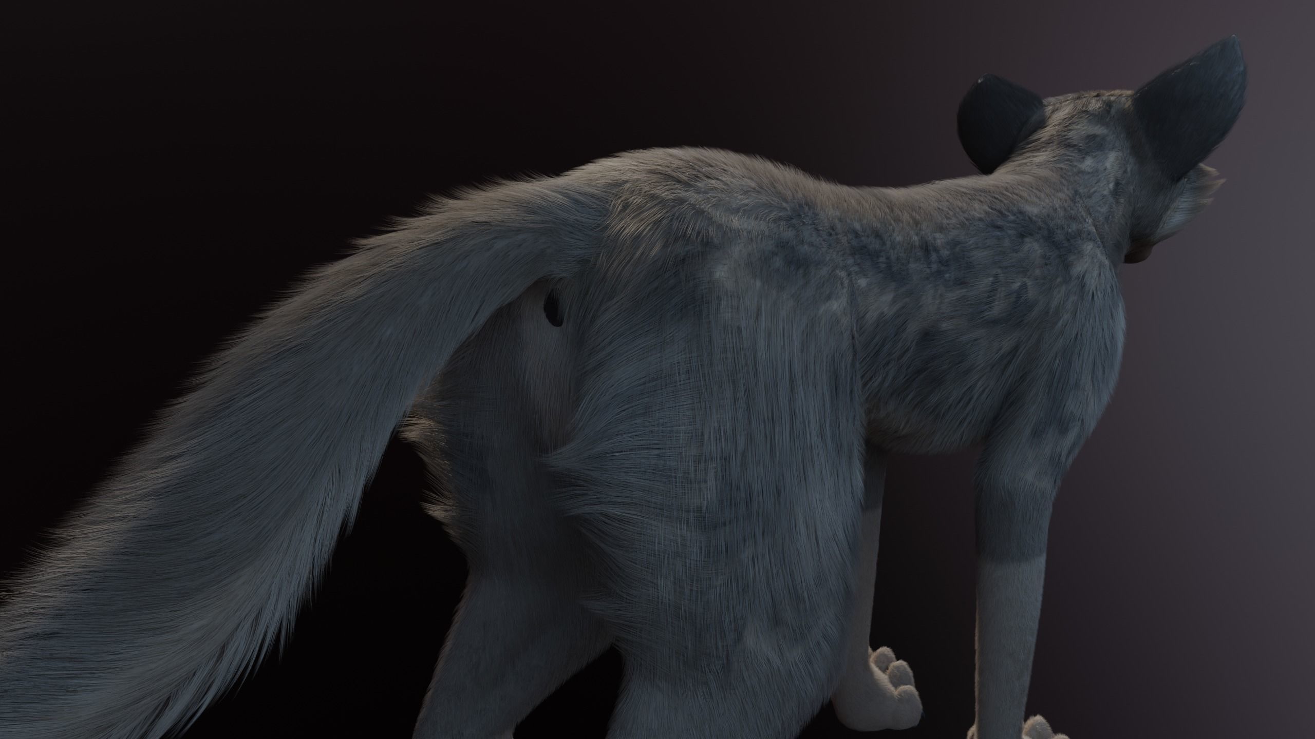Trinity Wolf 3D model_9