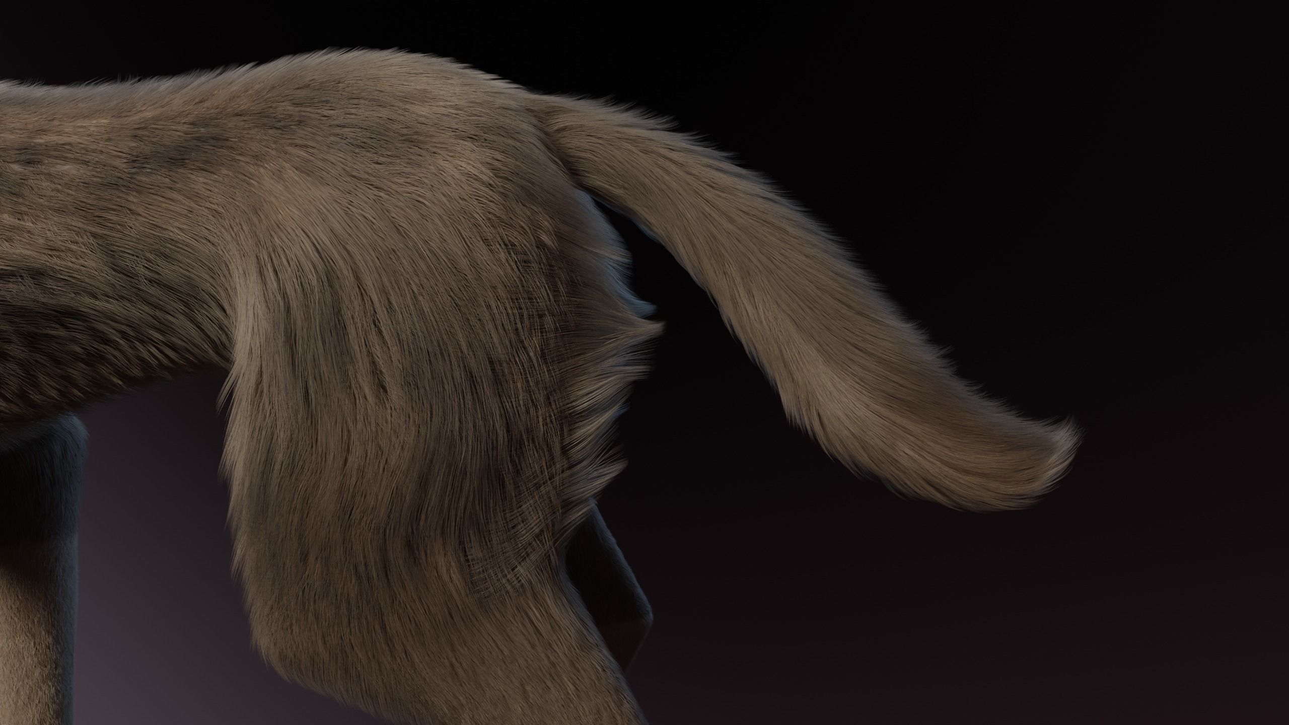 Trinity Wolf 3D model_12