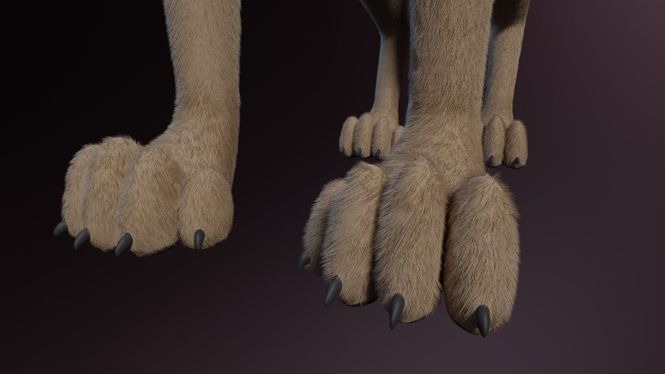 Trinity Wolf 3D model_13