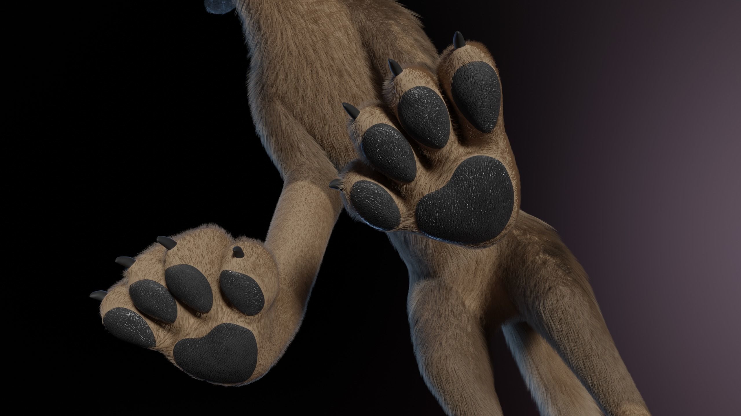 Trinity Wolf 3D model_14