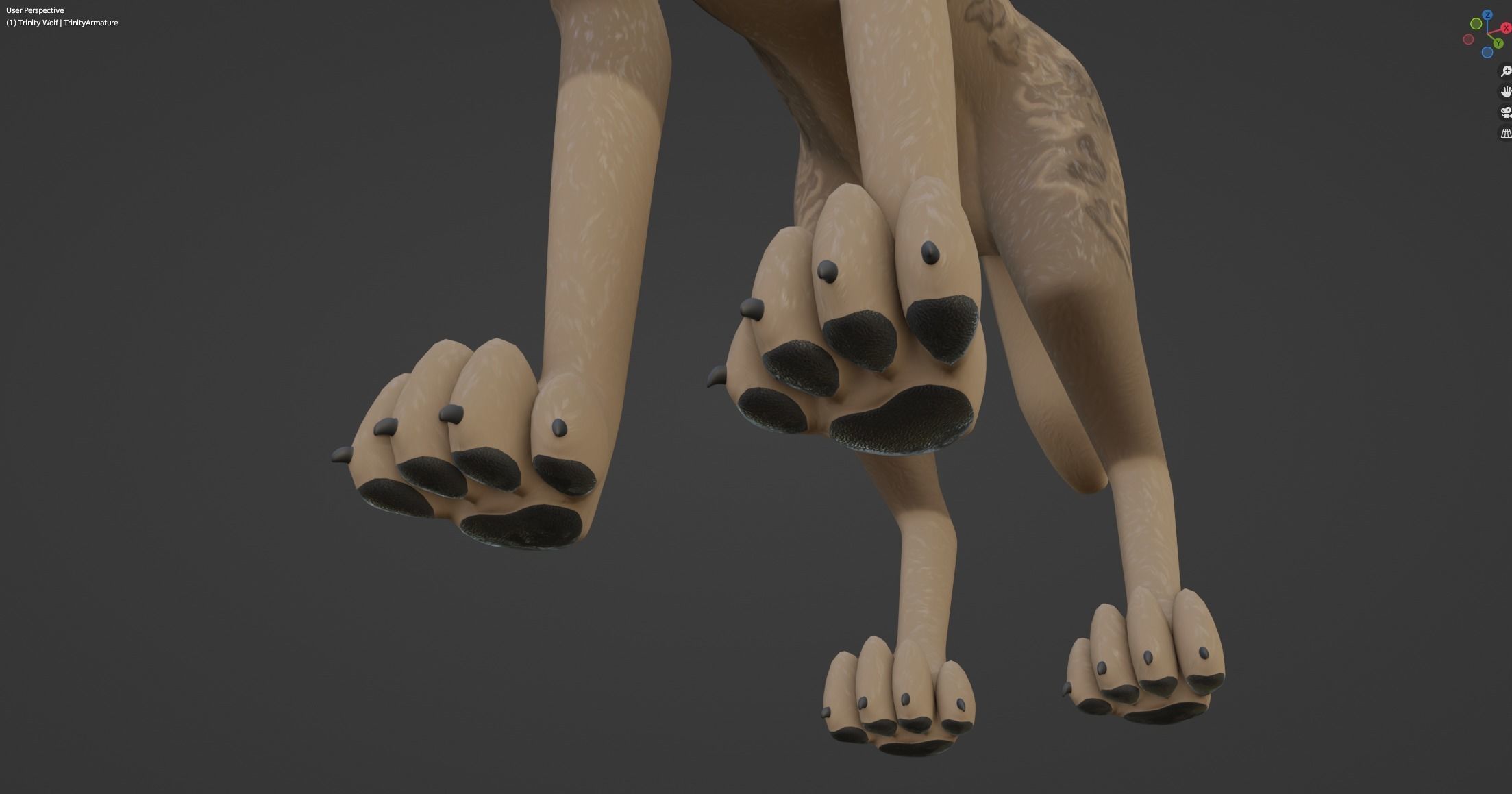Trinity Wolf 3D model_45