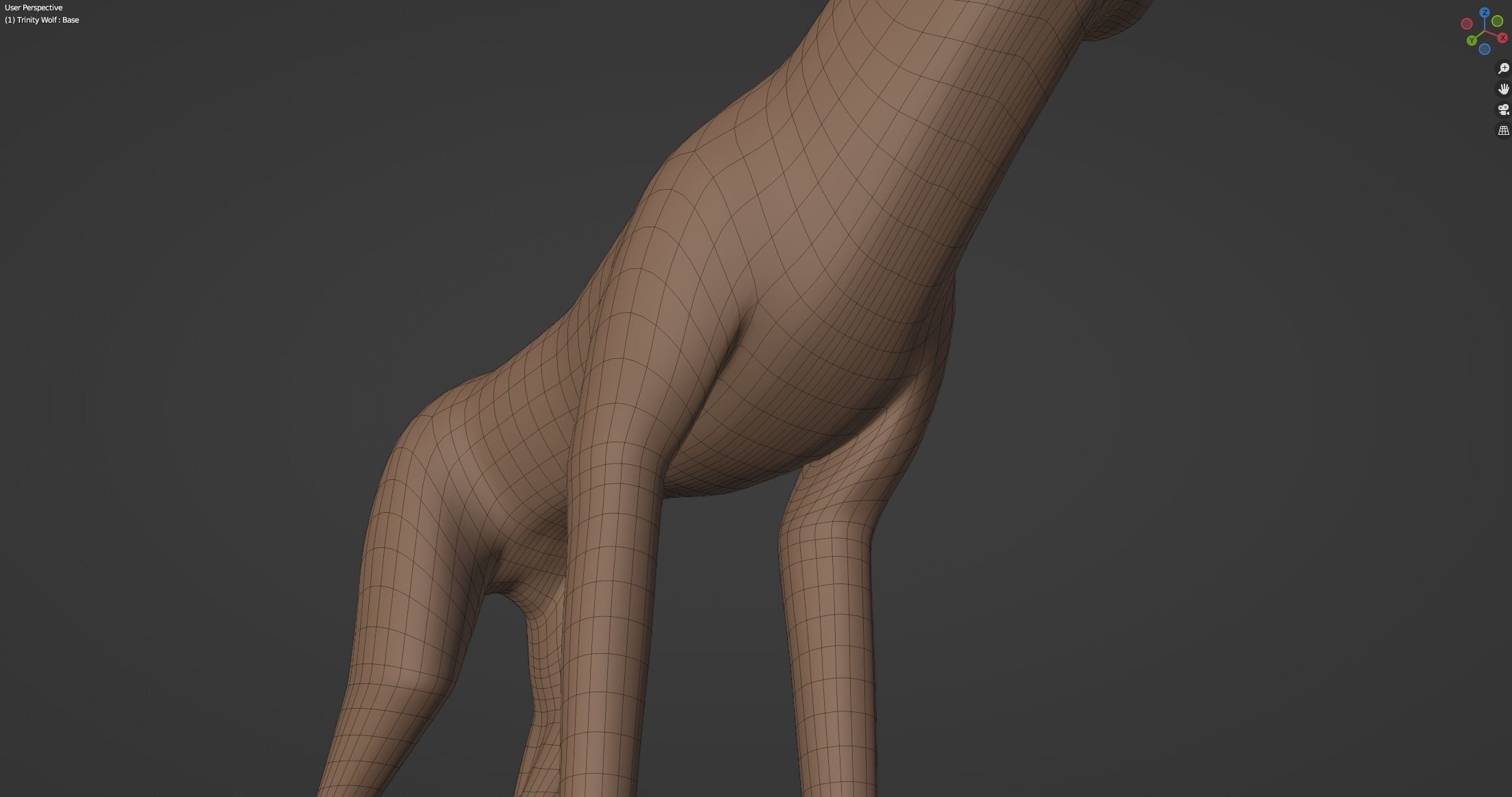 Trinity Wolf 3D model_50