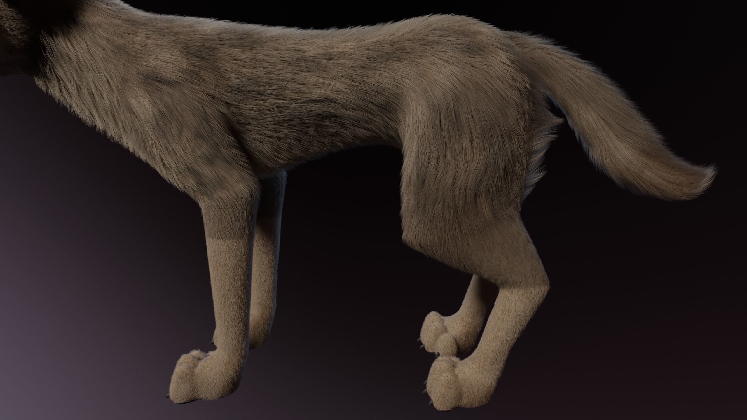 Trinity Wolf 3D model_6