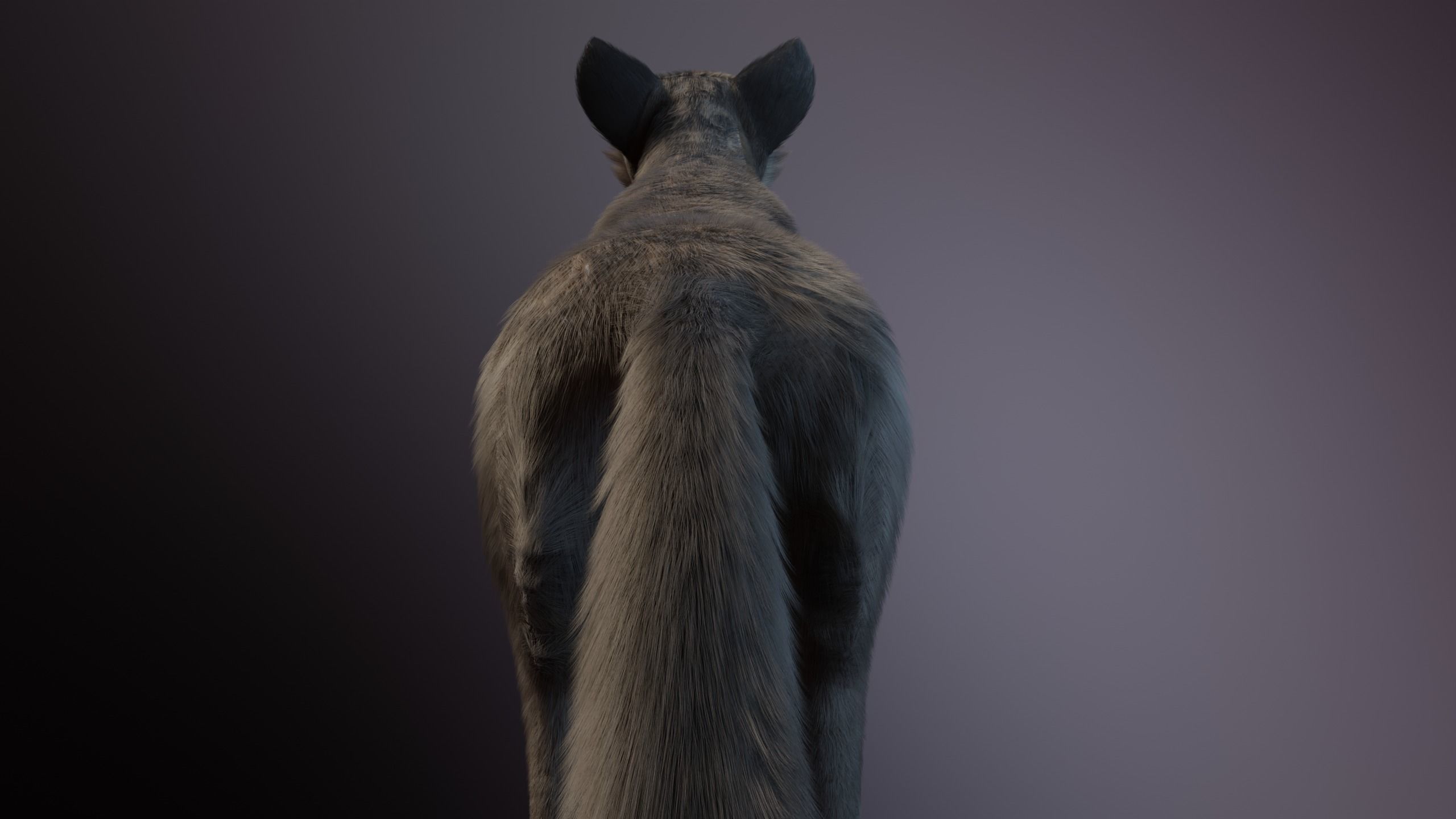 Trinity Wolf 3D model_8