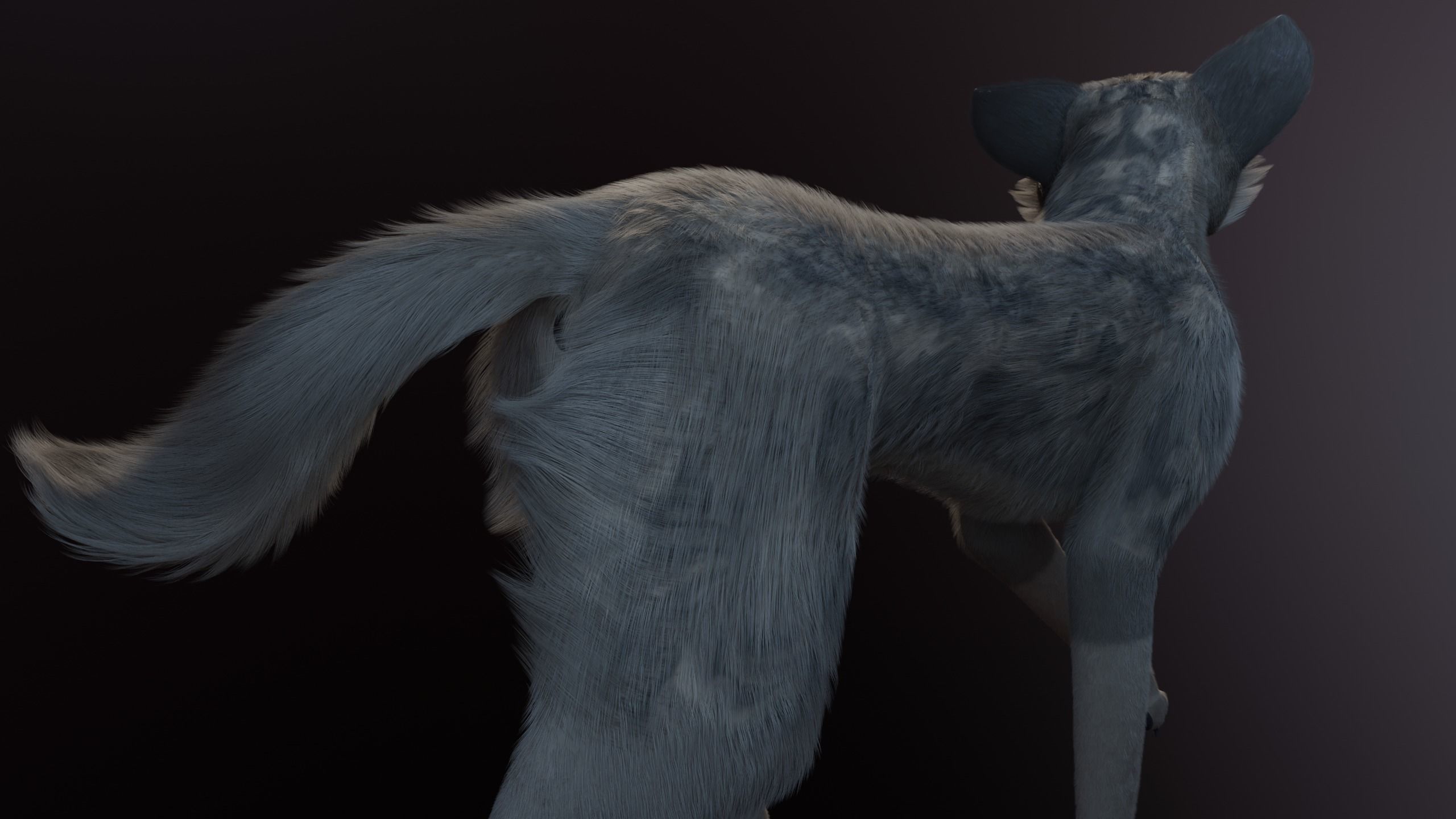 Trinity Wolf 3D model_20