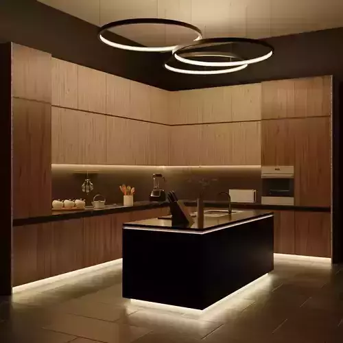Contemporary Kitchen scene