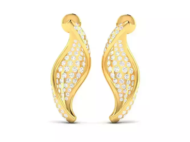 Women earrings