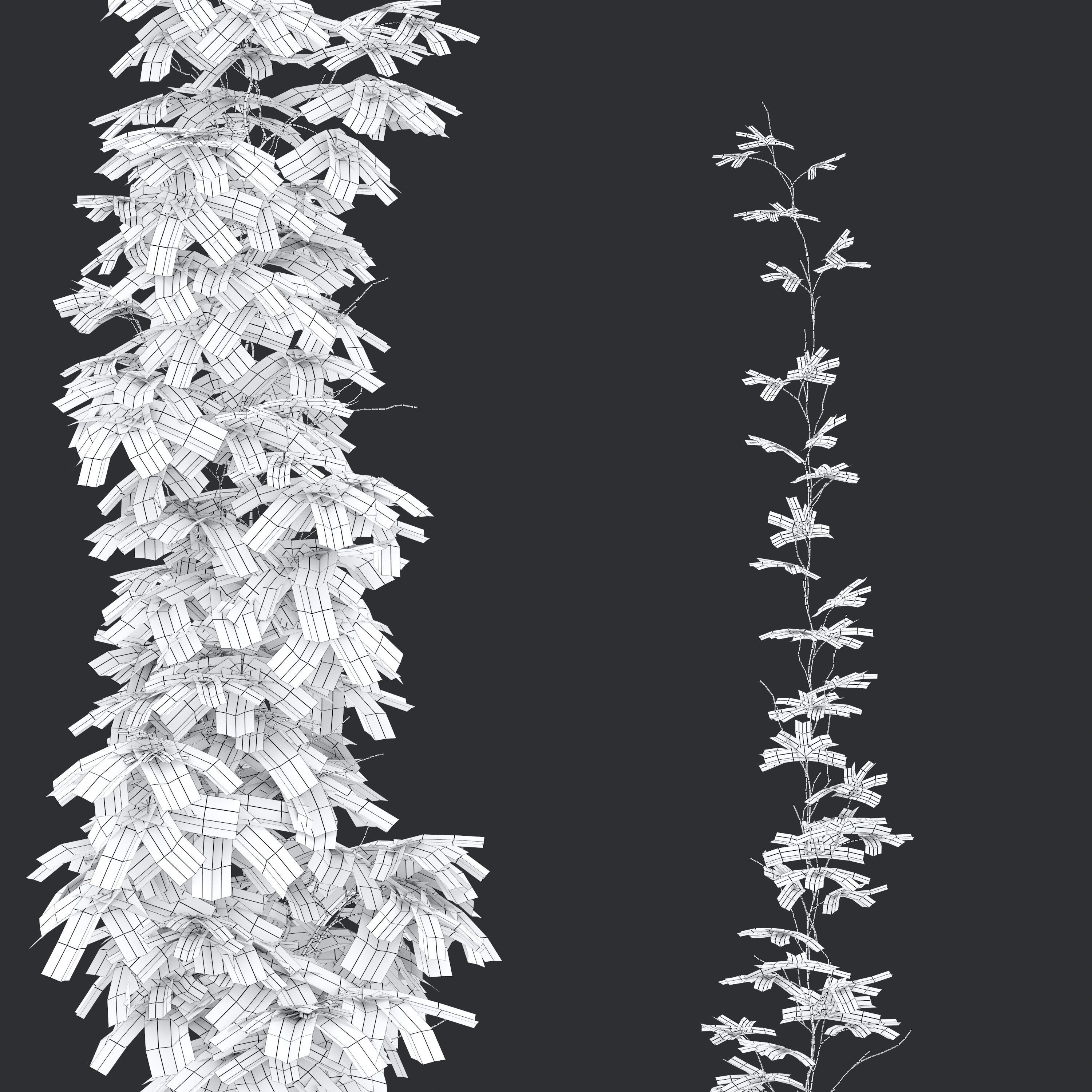 virginia creeper 02 3D model_3