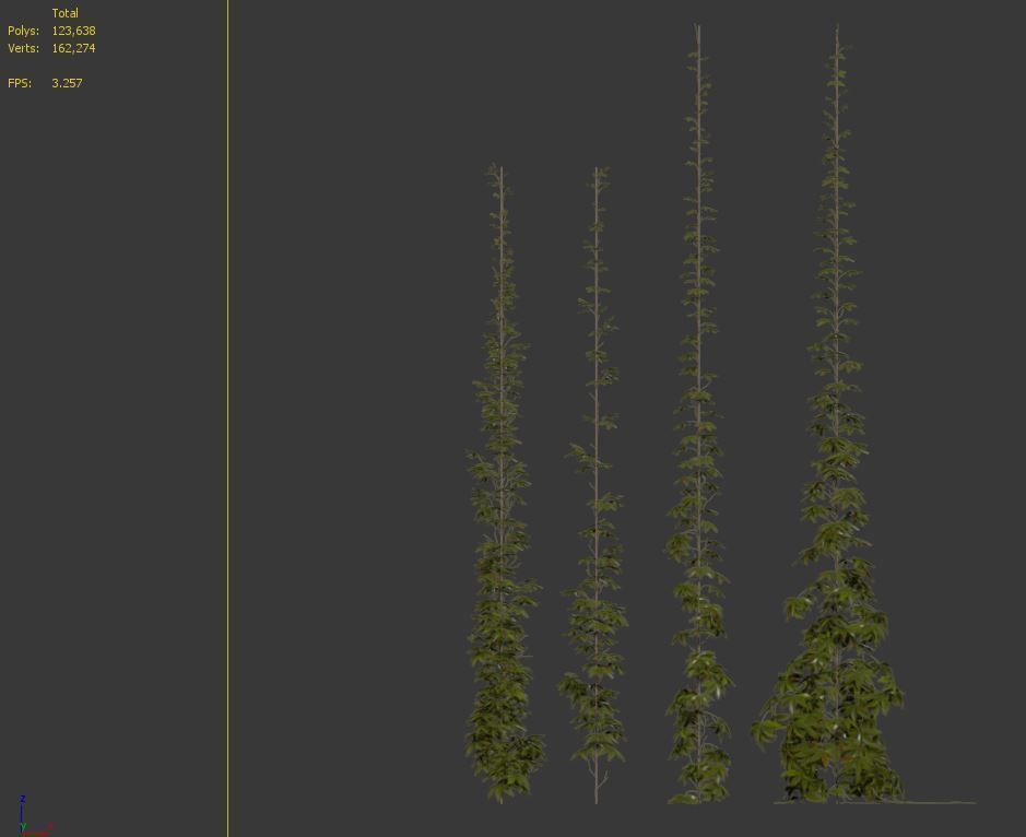 virginia creeper 02 3D model_4