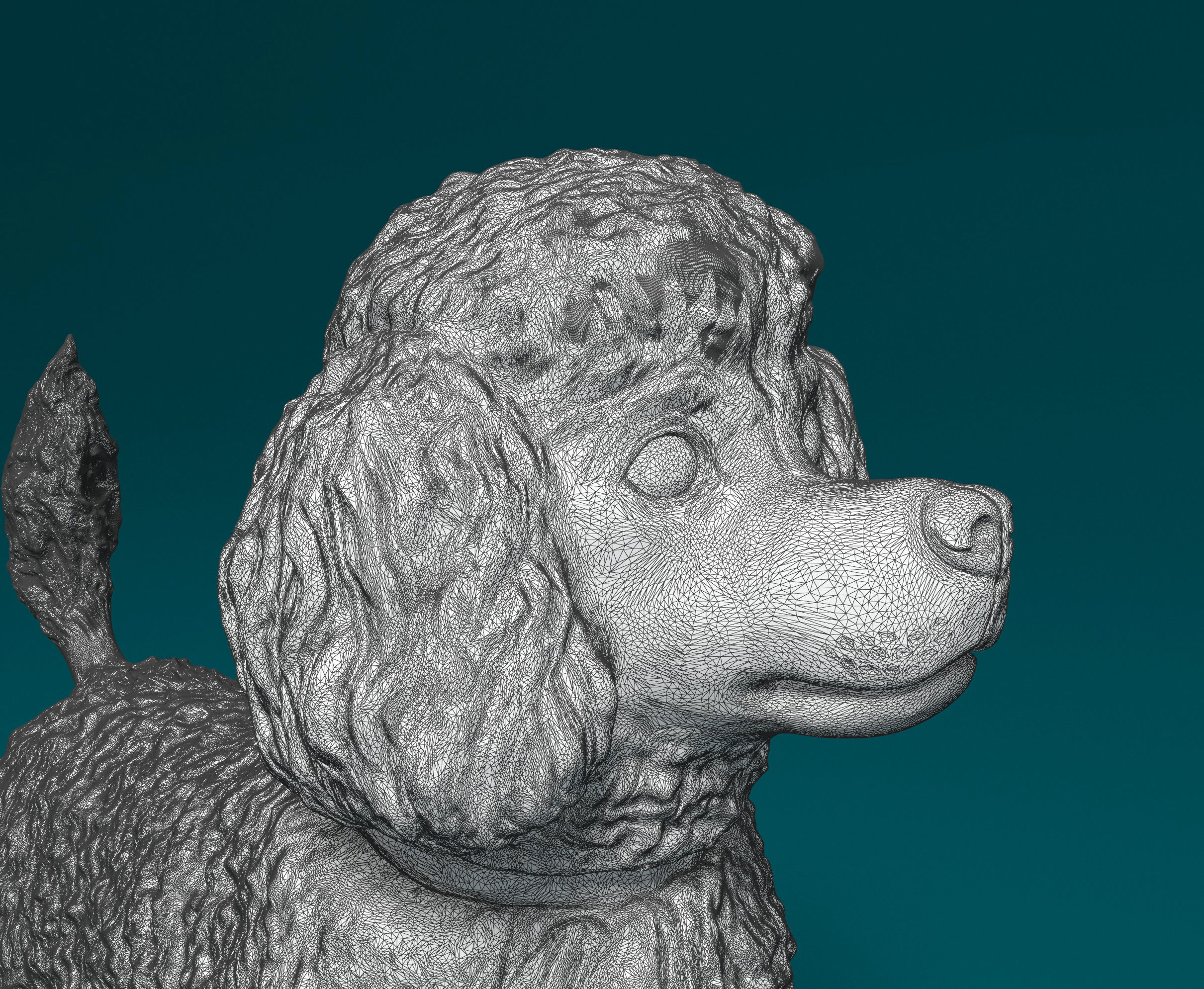Toy Poodle standing 3D print model_5