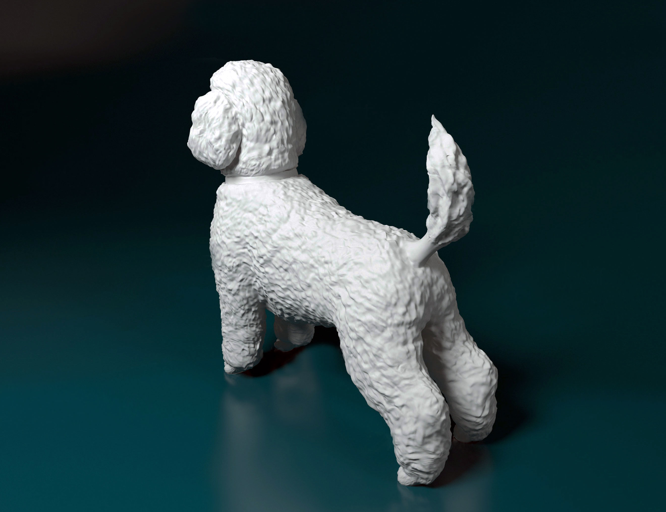 Toy Poodle standing 3D print model_3