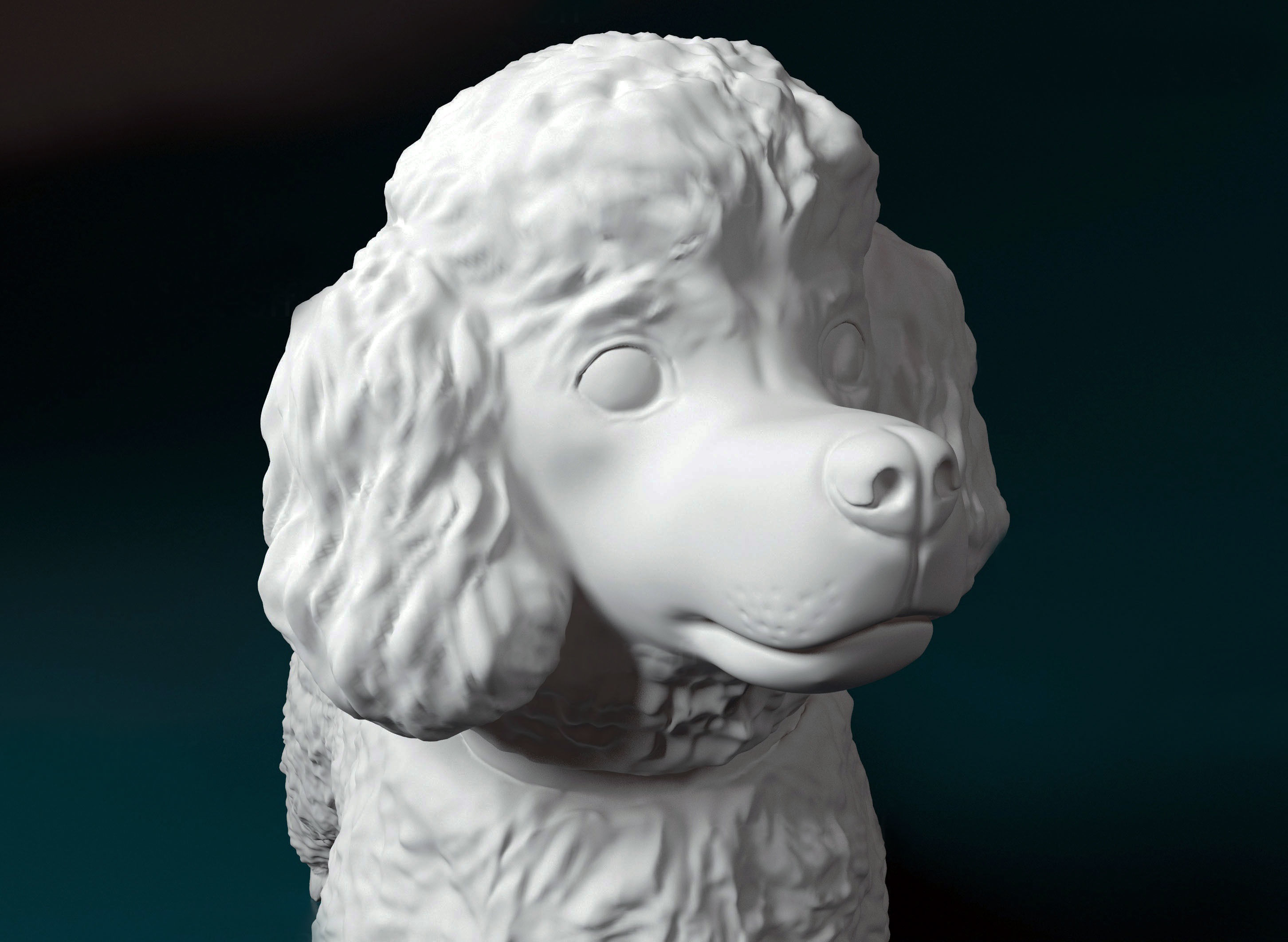 Toy Poodle standing 3D print model_4
