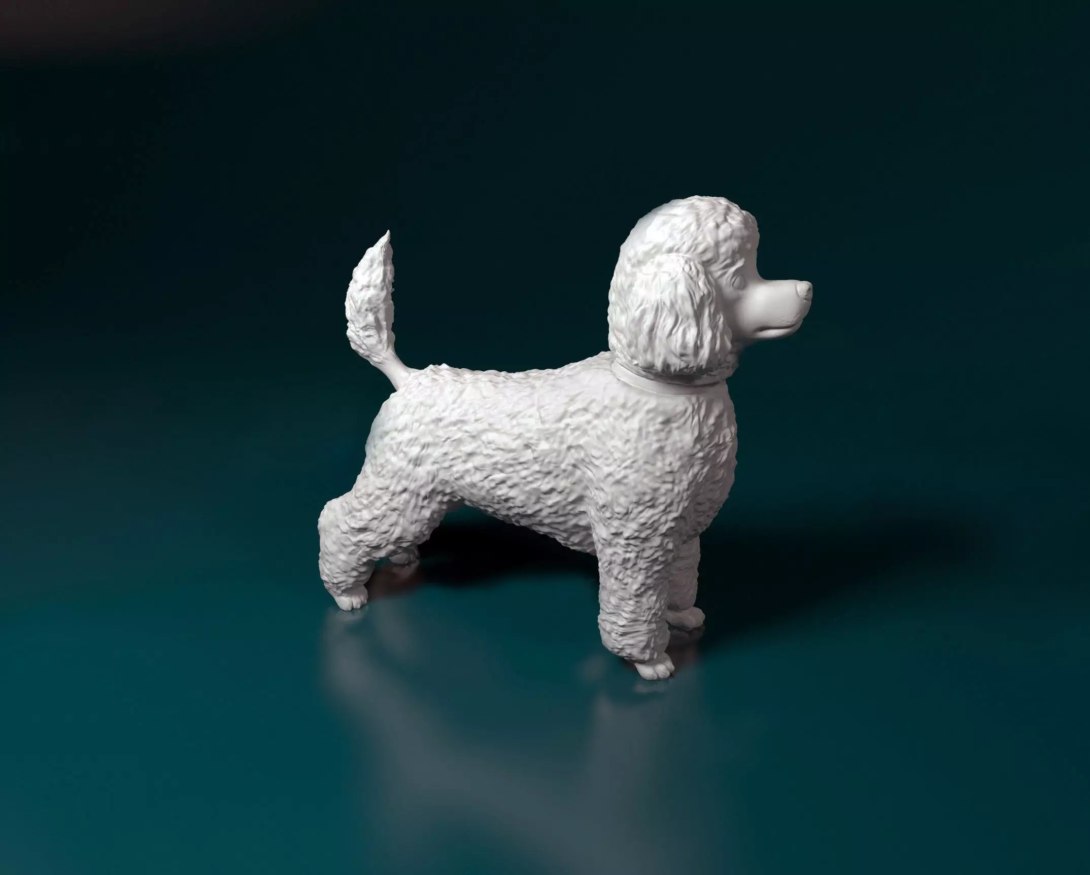 Toy Poodle standing 3D print model_0