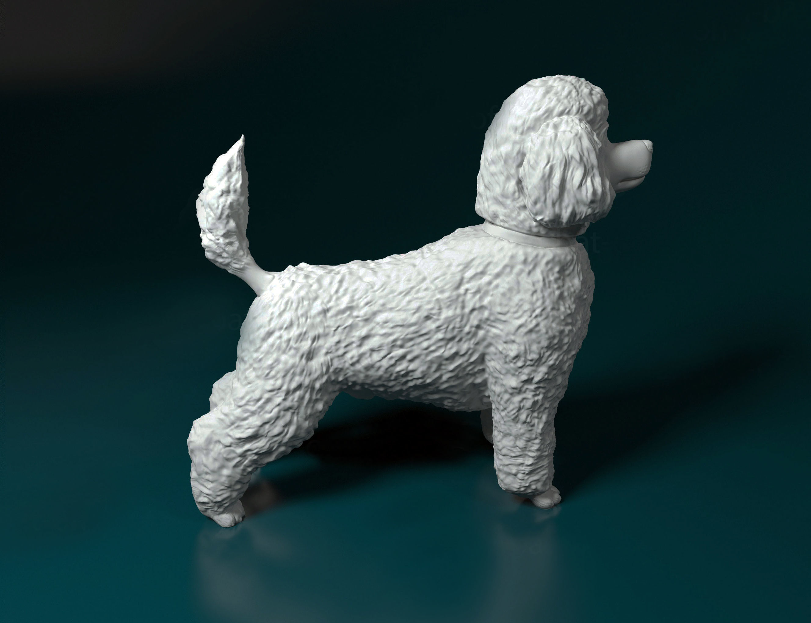Toy Poodle standing 3D print model_2