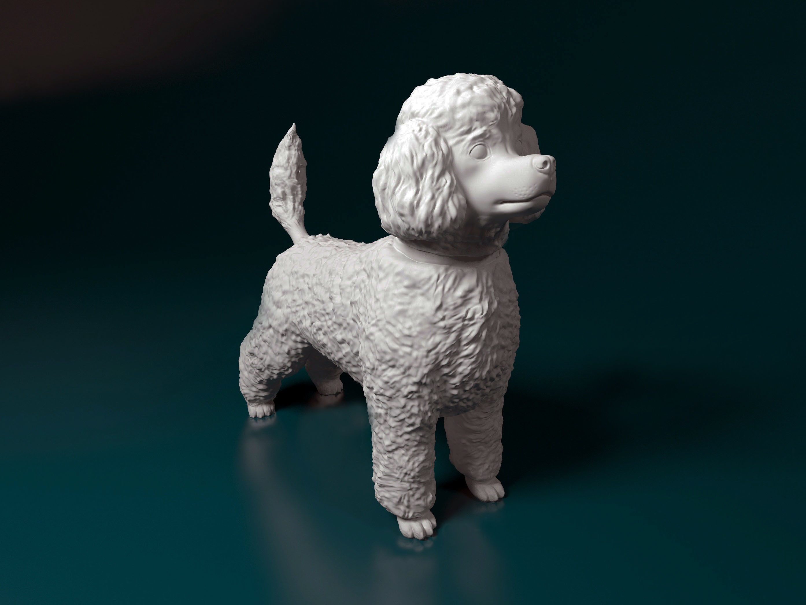 Toy Poodle standing 3D print model_1