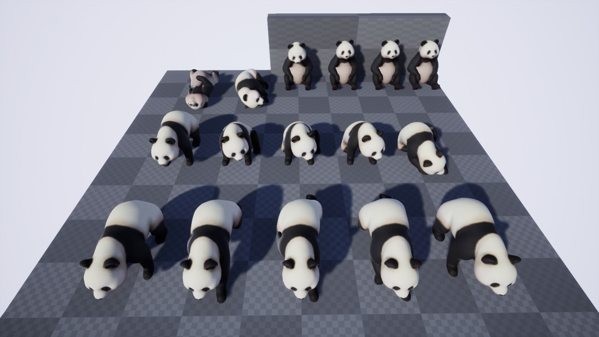 Panda bear Low-poly 3D model_6