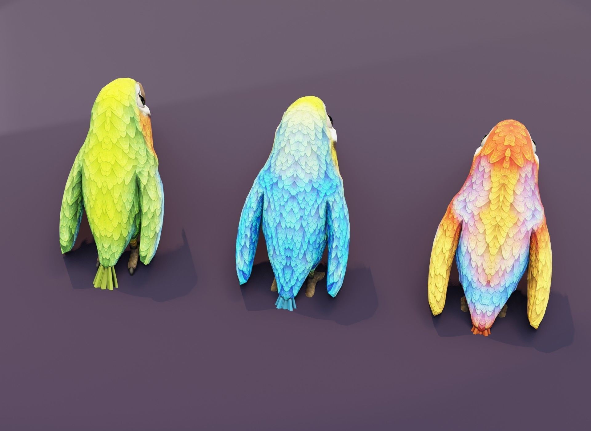 Cartoon Ara Parrot 3D Collection _5