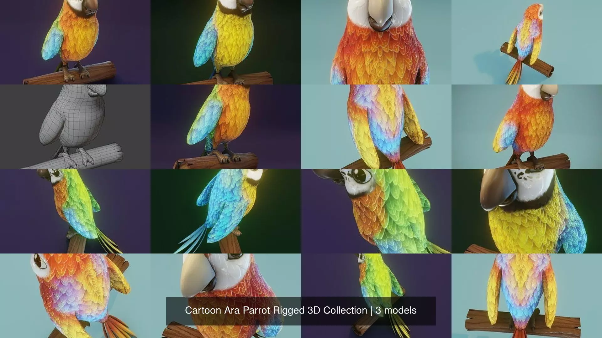 Cartoon Ara Parrot 3D Collection _4