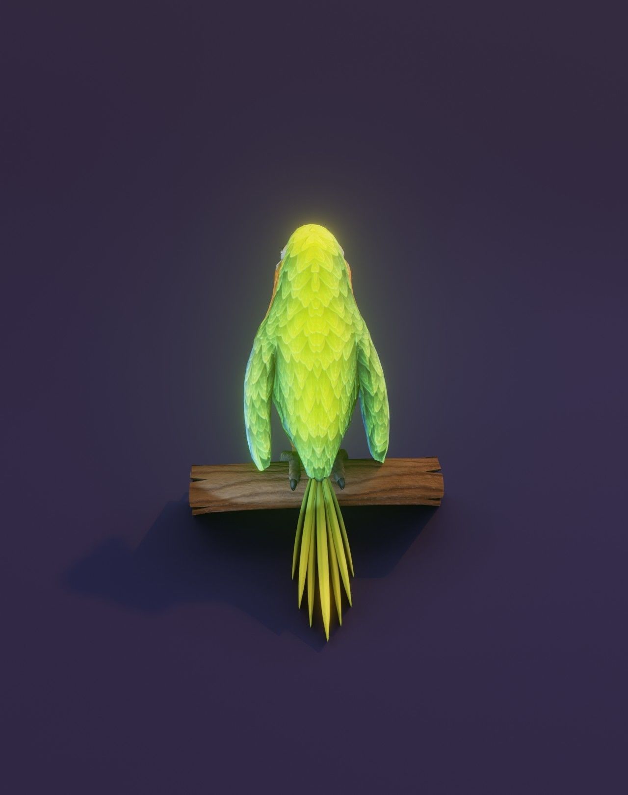 Cartoon Ara Parrot Rigged 3D Collection _17