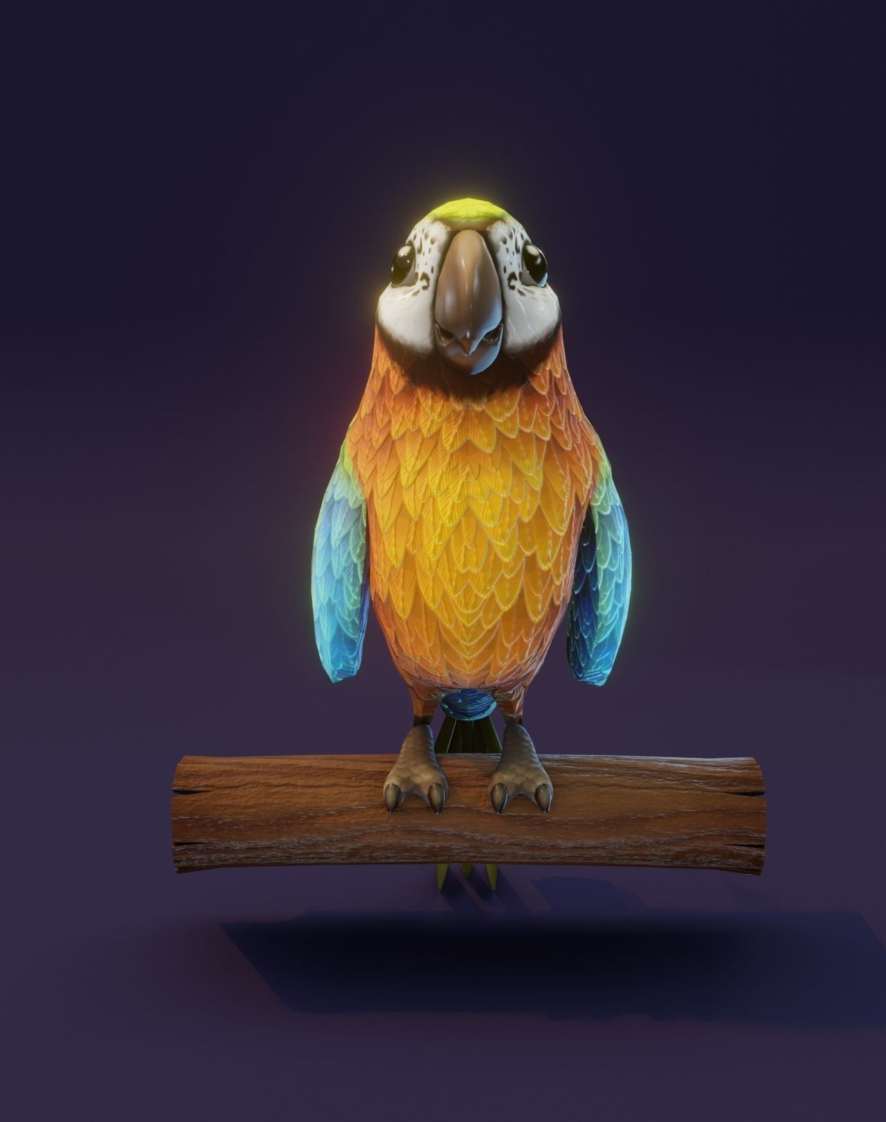 Cartoon Ara Parrot Animated 3D Collection _41