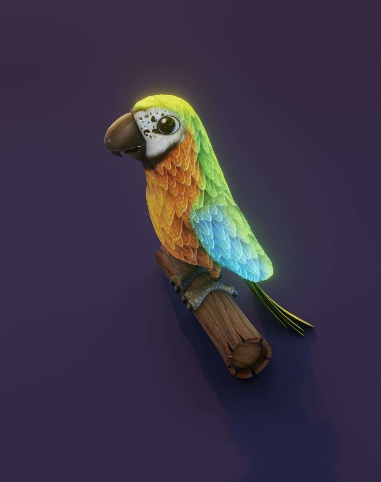 Cartoon Ara Parrot Animated 3D Collection _23