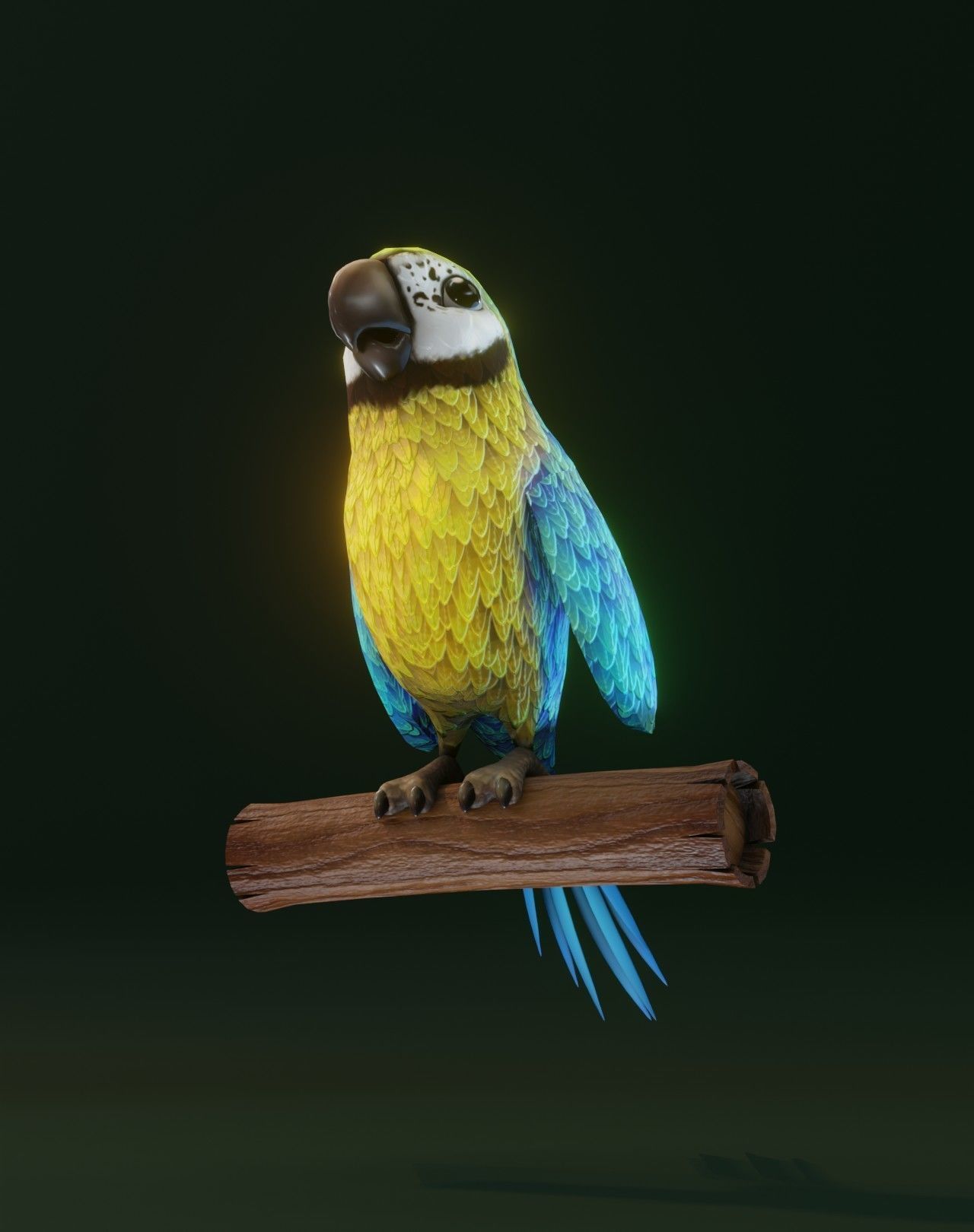 Cartoon Ara Parrot Animated 3D Collection _47