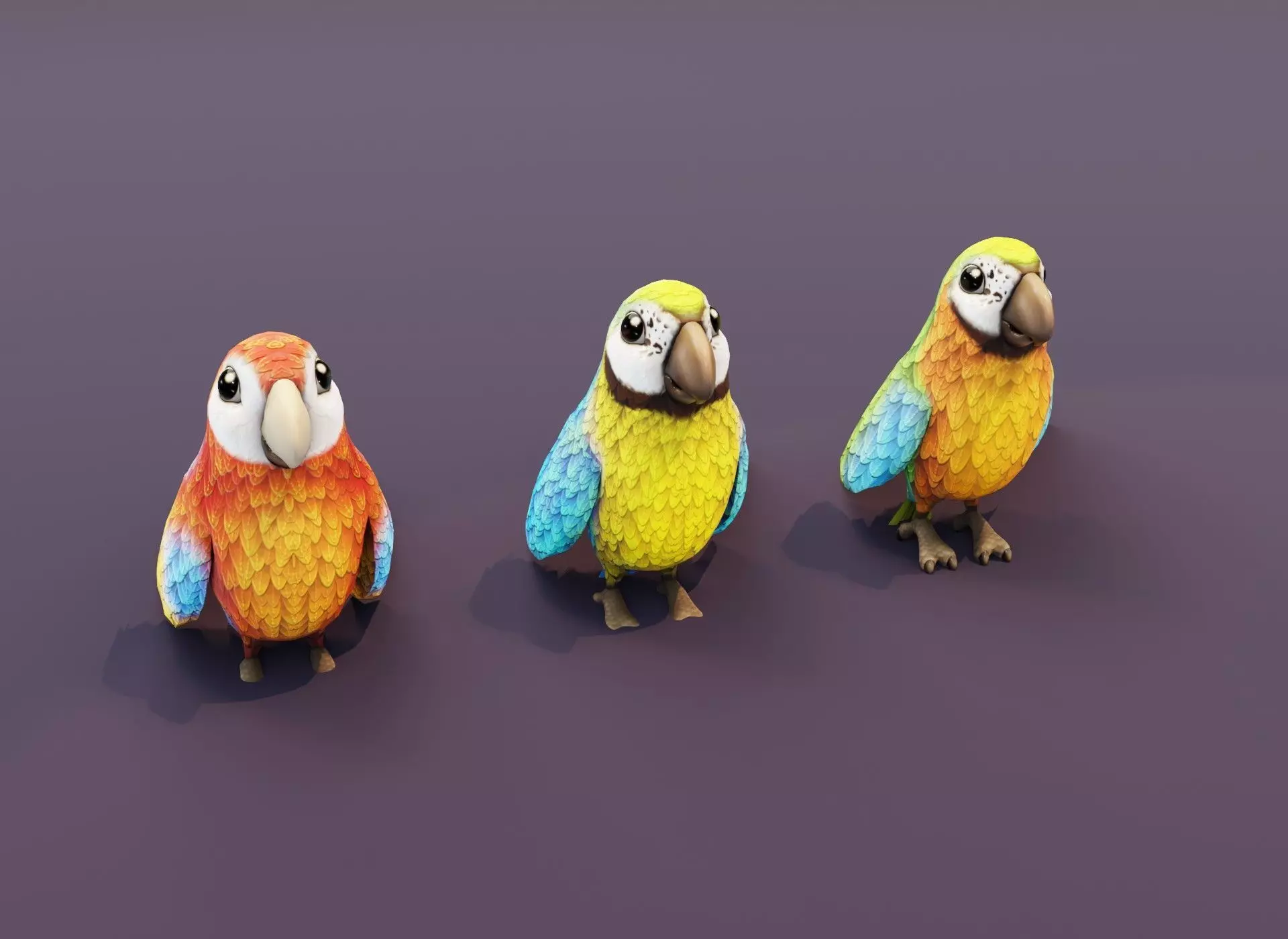 Cartoon Ara Parrot Animated 3D Collection _0