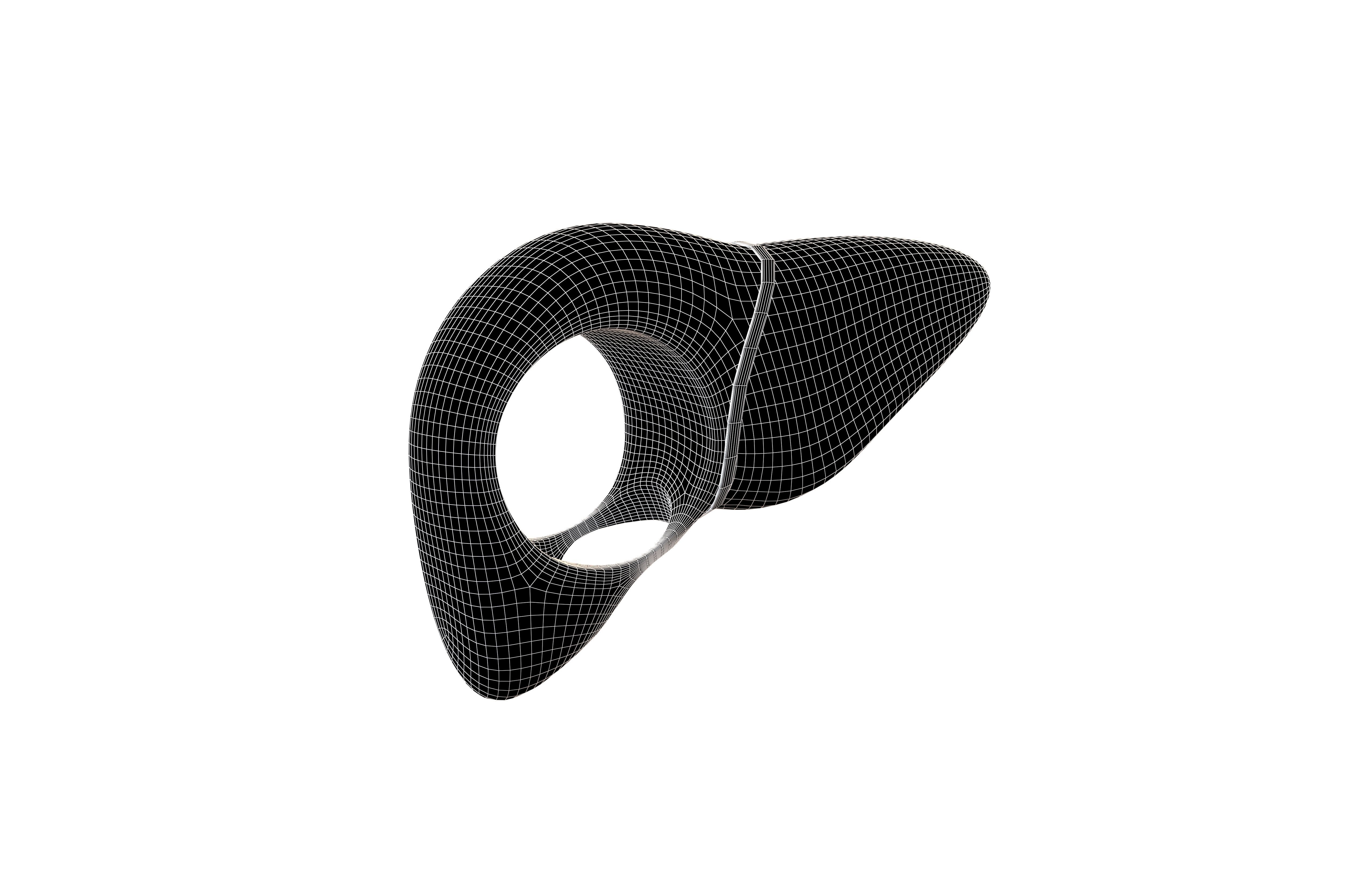 Cartoon Liver Costume Hat v1 001 Low-poly 3D model_5