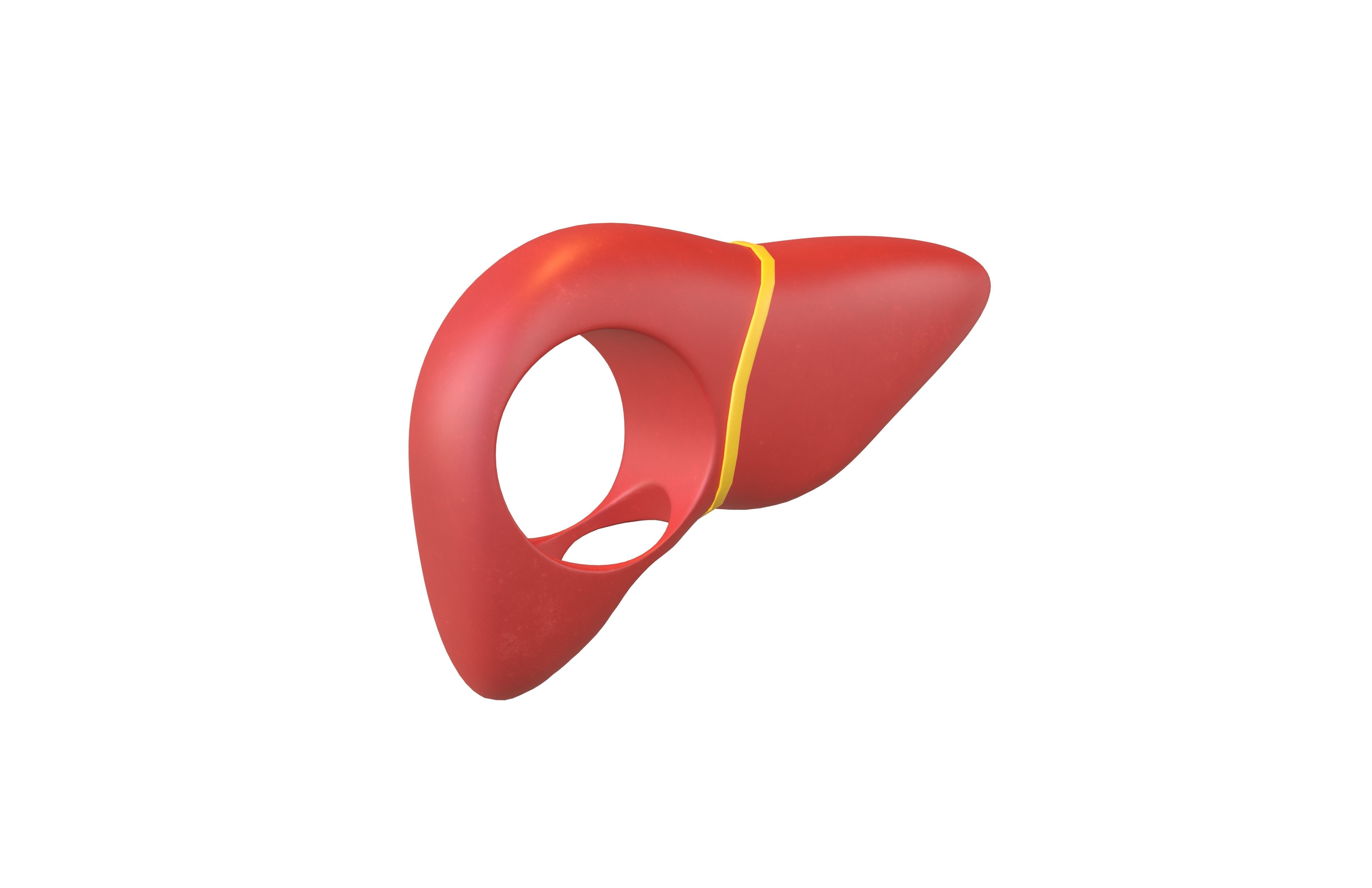 Cartoon Liver Costume Hat v1 001 Low-poly 3D model_1