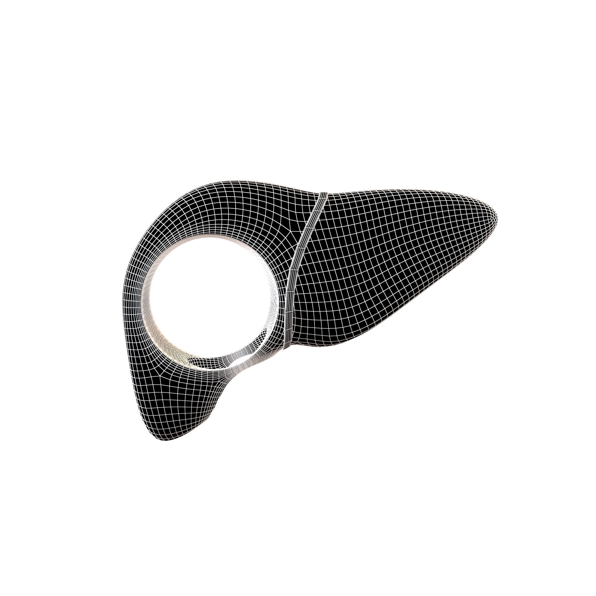 Cartoon Liver Costume Hat v1 001 Low-poly 3D model_4