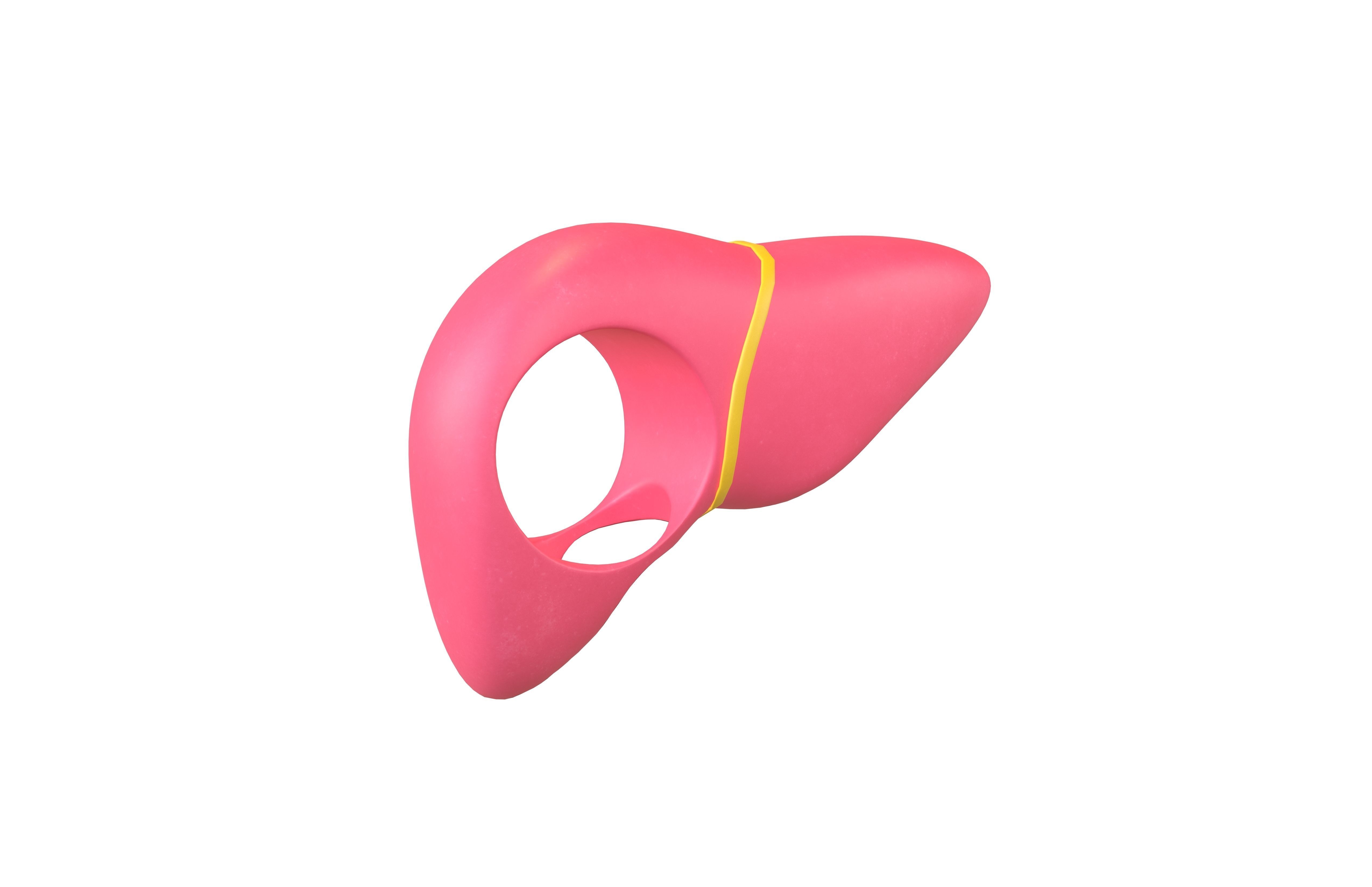 Cartoon Liver Costume Hat v1 002 Low-poly 3D model_1