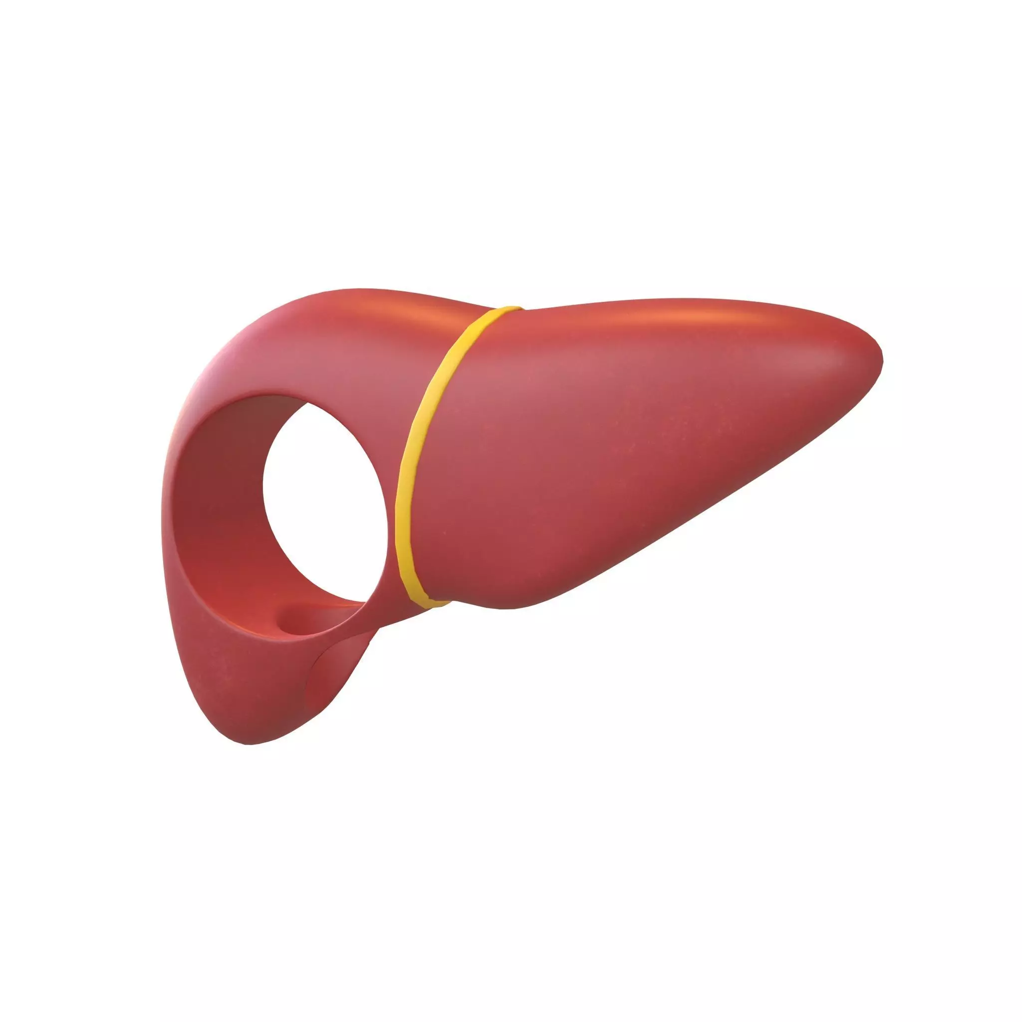 Cartoon Liver Costume Hat v1 003 Low-poly 3D model_0