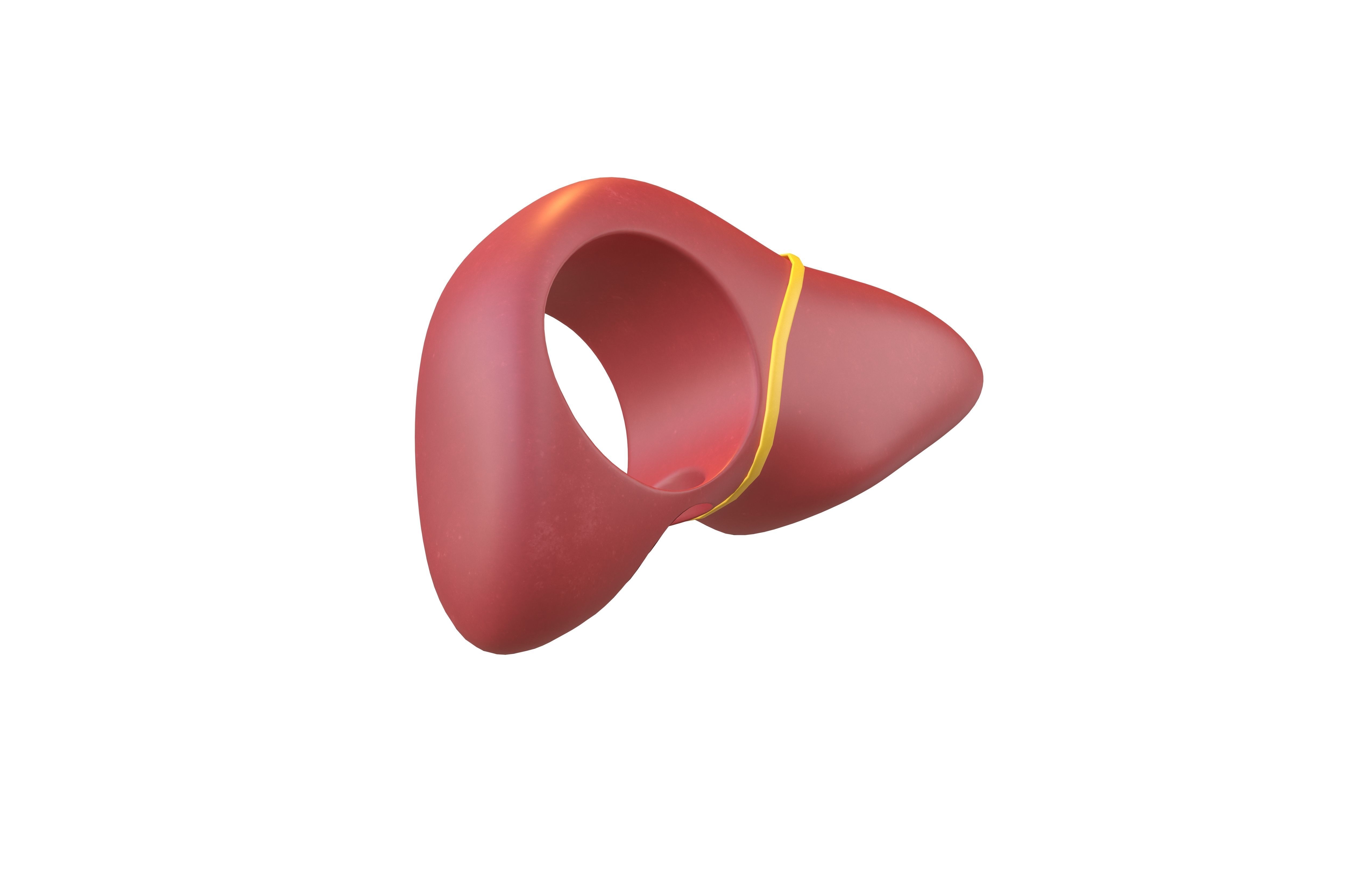 Cartoon Liver Costume Hat v1 003 Low-poly 3D model_2