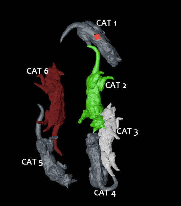 Blackcat milk 3D print model_7