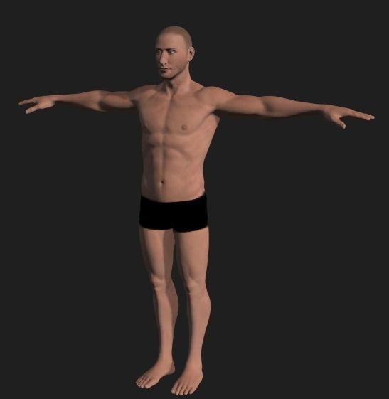 Male Full Body Free low-poly 3D model_0