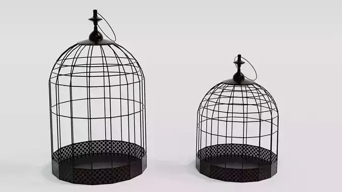 bird cage