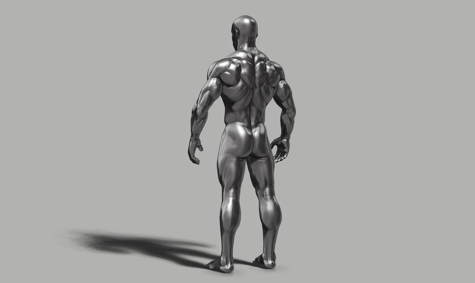 Male anatomy reference 3D print model 3D print model_36