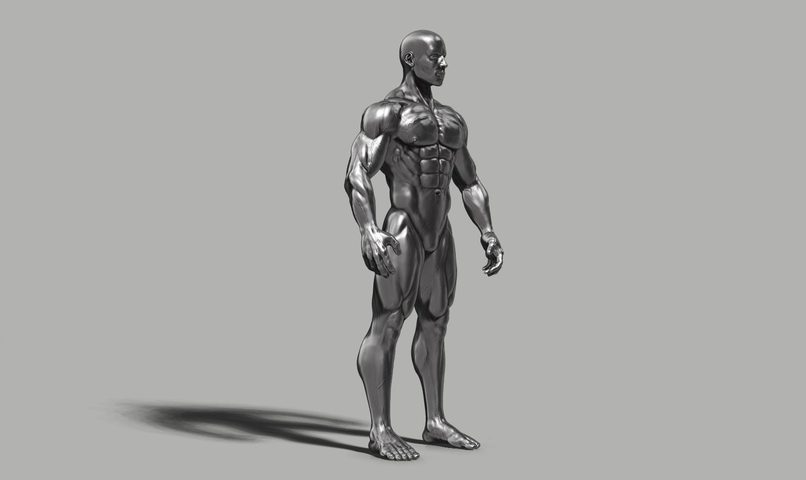 Male anatomy reference 3D print model 3D print model_30