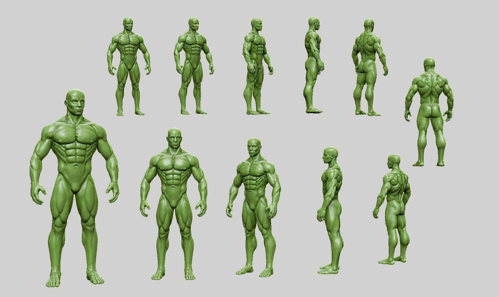 Male anatomy reference 3D print model 3D print model_56